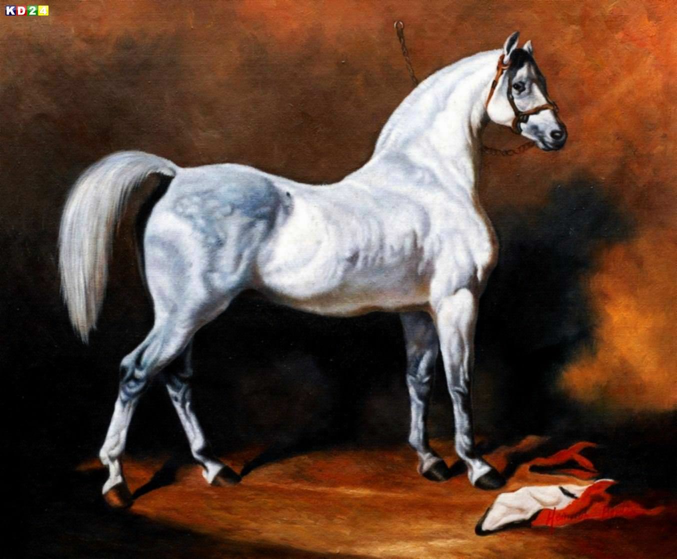 Alfred de Dreux - Arabischer Hengst c81954 50x60cm exzellentes Ölgemälde Museumsqualität