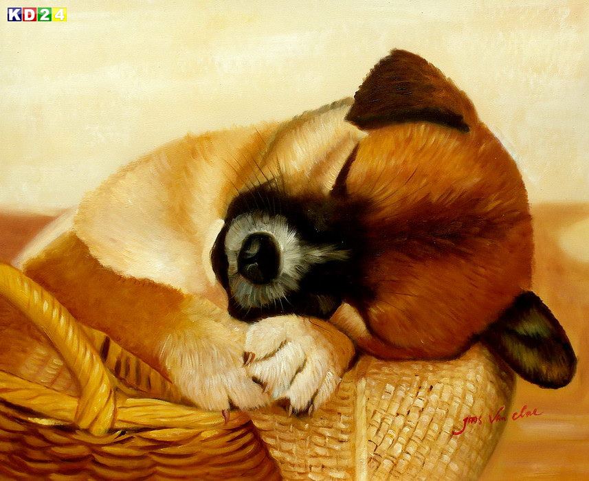 Modern Art - Gesicht eines träumenden Hundes c82667 50x60cm putziges Ölbild
