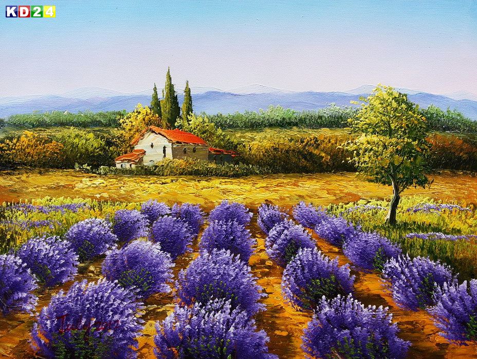 Lavendelfeld in der Toscana a82598 30x40cm exzellentes Ölgemälde handgemalt
