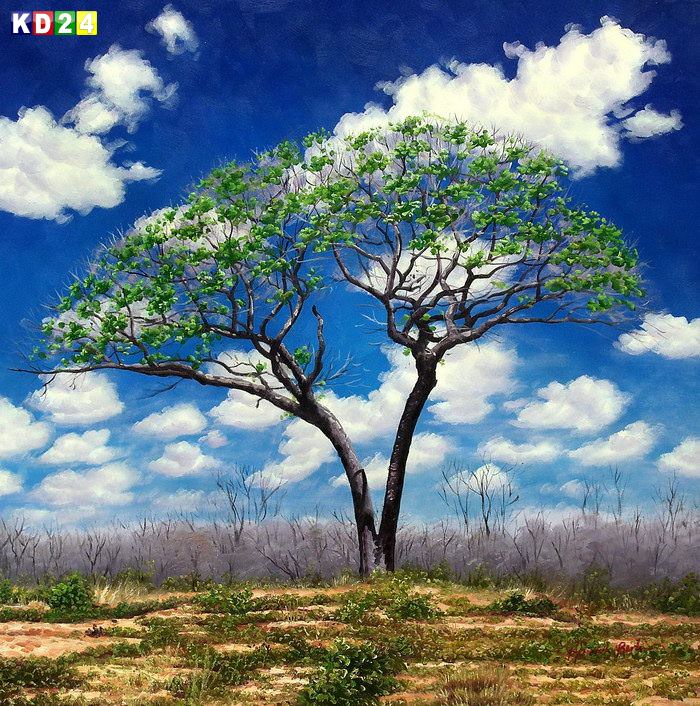Lebensbaum in der Savanne g81869 80x80cm Ölgemälde handgemalt